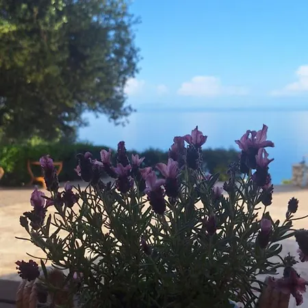 Naiad Appartamento