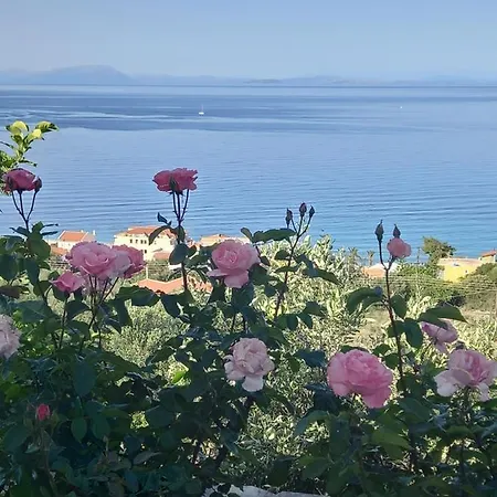 Naiad Sea View Daire